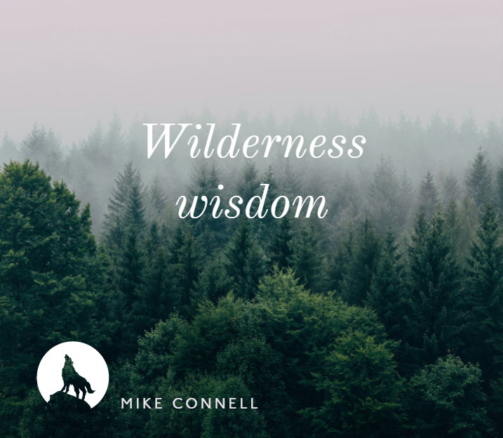 Wilderness Wisdom